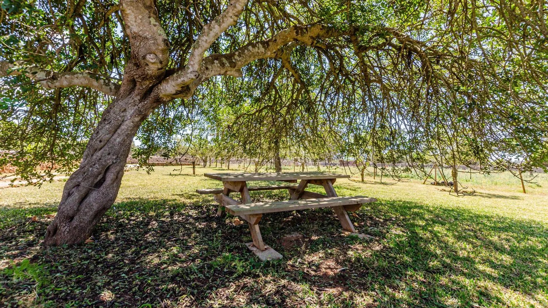 לורט דה ויסטאלגרה Yourhouse Agroturismo Can Porreti La Figuera דירה לורט דה ויסטאלגרה
